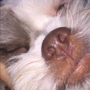 Meet your Posher, Keira